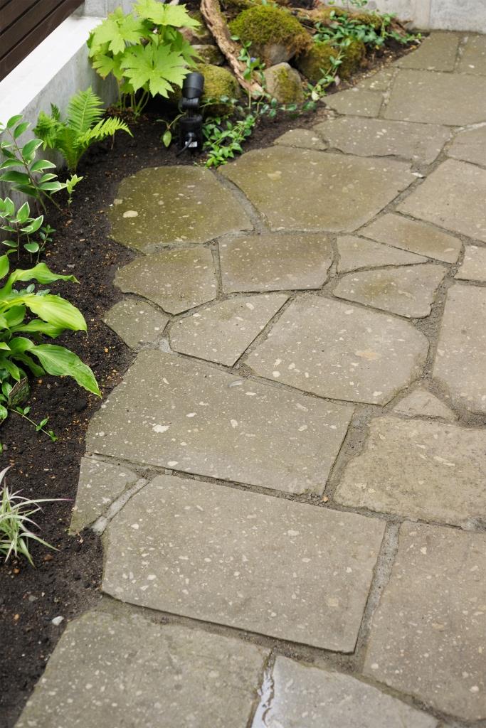 hokushinmodel (4).jpg